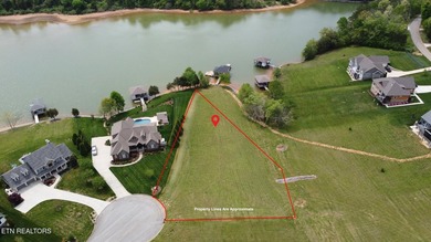 Rare Opportunity - Dockable Lakefront Lot With Active Dock - photo 8