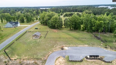 Beautiful new custom home located in a desirable Lake Murray - photo 59