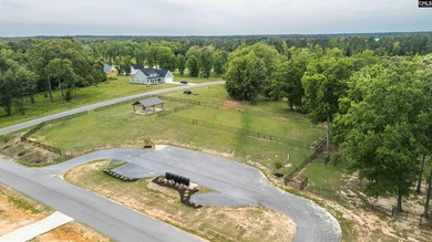Beautiful new custom home located in a desirable Lake Murray - photo 60