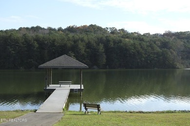 Rare Opportunity - Dockable Lakefront Lot With Active Dock - photo 10