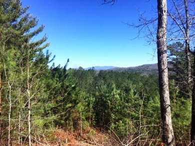 Lake Lot For Sale in Murphy, North Carolina