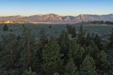 Set within the breathtaking and private Skalkaho Valley, Banks - photo 15