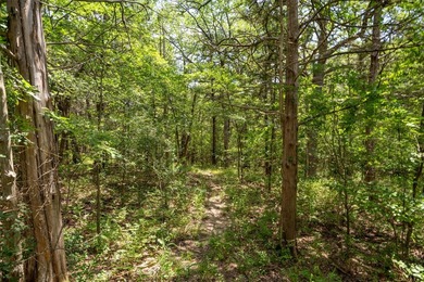 Ideal time to buy your Lake Texoma home, with the planned $6 - photo 18
