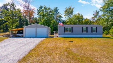 Lake Home For Sale in Livermore, Maine
