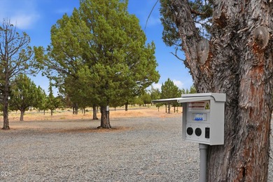 Rare fly-in opportunity in the gated Three Rivers Recreation - photo 33