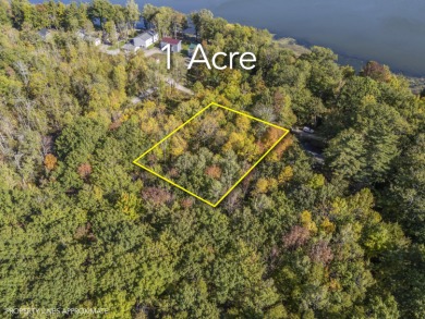 (private lake, pond, coastal) Lot For Sale in Albion Maine