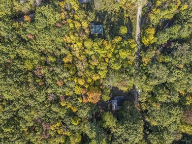 This wooded 100'x150ft lot offers a serene setting for your next - photo 4