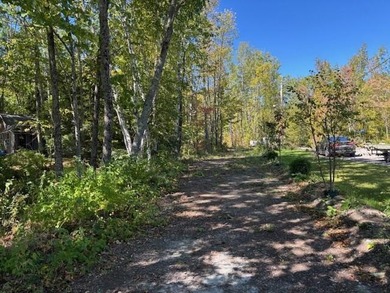 This wooded 100'x150ft lot offers a serene setting for your next - photo 5