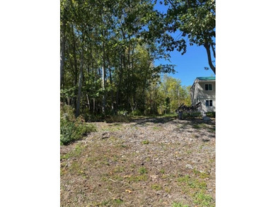 This wooded 100'x150ft lot offers a serene setting for your next - photo 7
