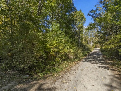 This wooded 100'x150ft lot offers a serene setting for your next - photo 10