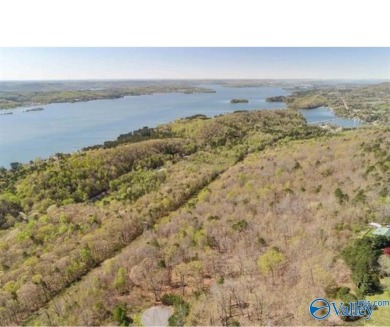 Lake Guntersville Acreage For Sale in Scottsboro Alabama