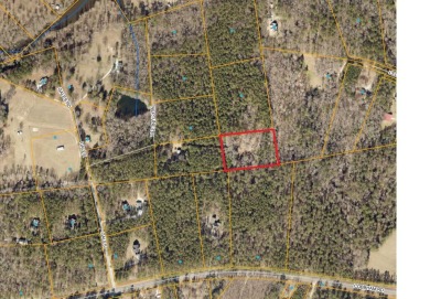 Strom Thurmond / Clarks Hill Lake Lot For Sale in Appling Georgia