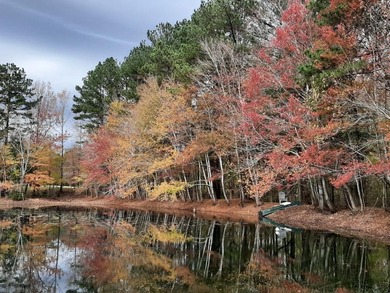 Strom Thurmond / Clarks Hill Lake Acreage For Sale in Appling Georgia