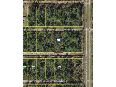 Lake Weohyakapka Lot For Sale in Indian Lake Estates Florida