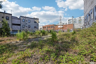 DEVELOPMENT GOLD MINE IN BROADWAY VALDEZ! An exceptional - photo 3
