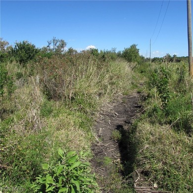 North end of PINE ISLAND in the Historic Area Of PINELAND, 18 - photo 14