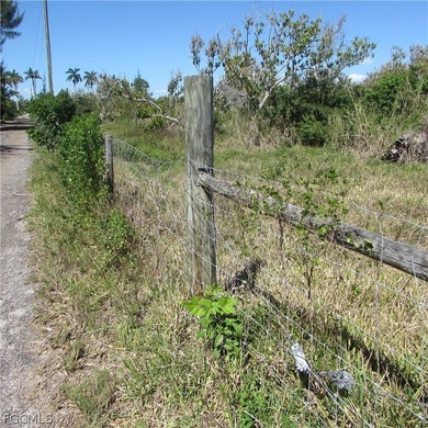 North end of PINE ISLAND in the Historic Area Of PINELAND, 18 - photo 15