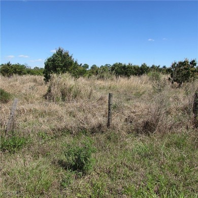 North end of PINE ISLAND in the Historic Area Of PINELAND, 18 - photo 17
