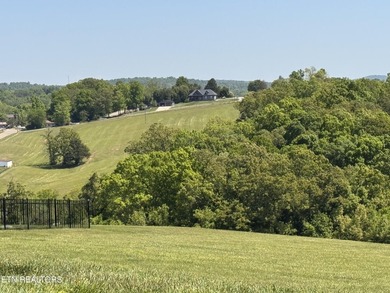 Build your dream home on this stunning 0.65-acre lot with - photo 7