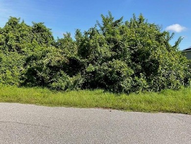 Port Charlotte Waterway Area Lot Sale Pending in Port Charlotte Florida
