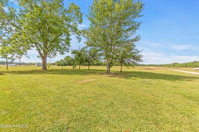 Welcome to country living at its finest in beautiful Breaux - photo 35