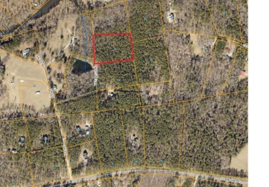 Strom Thurmond / Clarks Hill Lake Lot For Sale in Appling Georgia