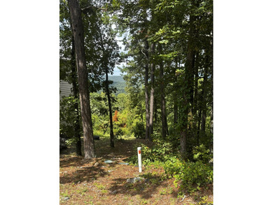 Lake Desoto Lot For Sale in Hot Springs Village Arkansas