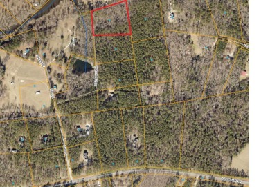 Lake Acreage For Sale in Appling, Georgia