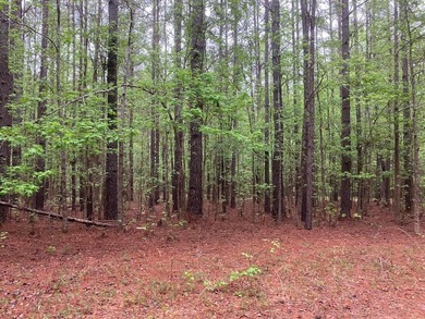 Strom Thurmond / Clarks Hill Lake Acreage For Sale in Appling Georgia