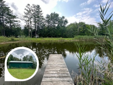 (private lake, pond, creek) Acreage For Sale in Stanton Michigan