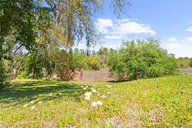 Seller to pay $5000 towards Buyers closing cost with acceptable - photo 40