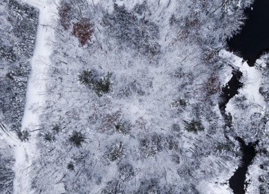 Lower Patten Pond Lot For Sale in Surry Maine