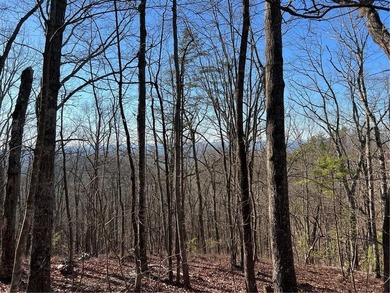 Carters Lake Acreage Sale Pending in Ranger Georgia