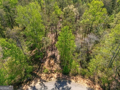 This exceptional estate-sized homesite offers a rare opportunity - photo 3