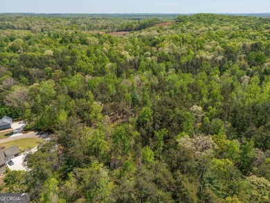 This exceptional estate-sized homesite offers a rare opportunity - photo 4