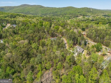 This exceptional estate-sized homesite offers a rare opportunity - photo 6
