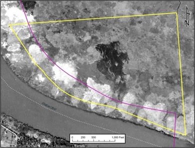 216 acres of undeveloped land on the Port Neches River, a deep - photo 8