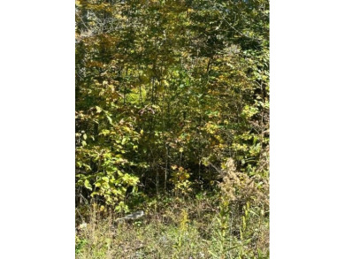 (private lake, pond, creek) Acreage For Sale in Jamestown Tennessee