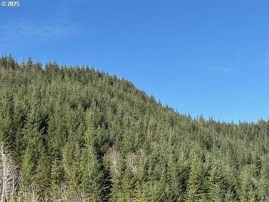 (private lake, pond, creek) Acreage For Sale in Blodgett Oregon