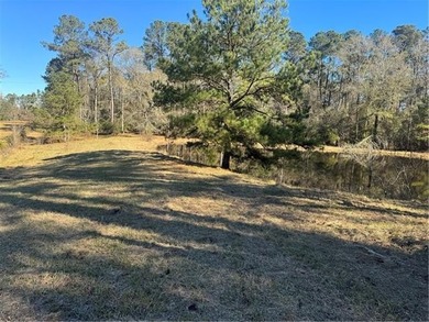 (private lake, pond, coastal) Acreage For Sale in Amite Louisiana