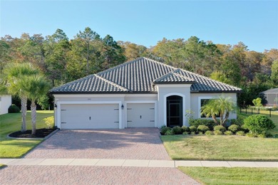 Lake Tohopekaliga Home Sale Pending in Kissimmee Florida