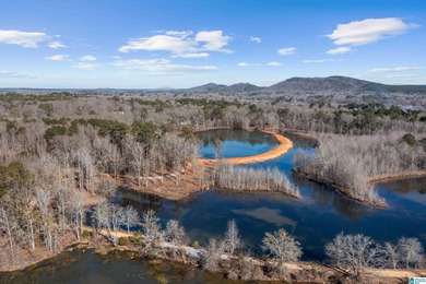 Lay Lake Acreage For Sale in Wilsonville Alabama