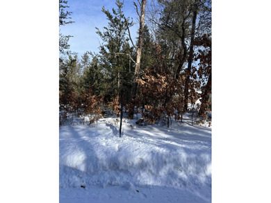 Lake St Helen Lot For Sale in Saint Helen Michigan