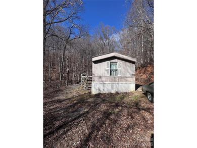 (private lake, pond, coastal) Home For Sale in Swannanoa North Carolina