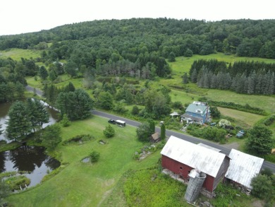 (private lake, pond, creek) Home For Sale in Franklin New York