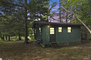 Lake Home For Sale in Reed City, Michigan