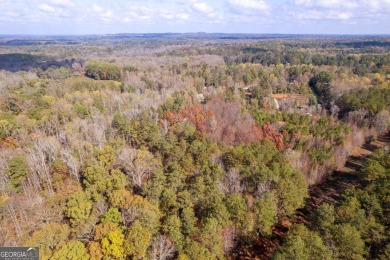 Lake Acreage For Sale in Carrollton, Georgia
