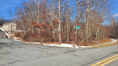 Mill Pond Lot Sale Pending in Bushkill Pennsylvania
