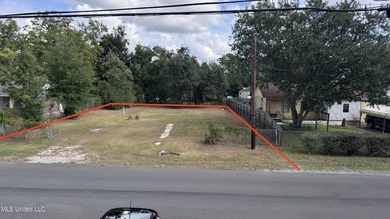 For Sale | Large Vacant Lot in Established Neighborhood - photo 4