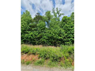 Lake Wylie Lot For Sale in Rock Hill South Carolina